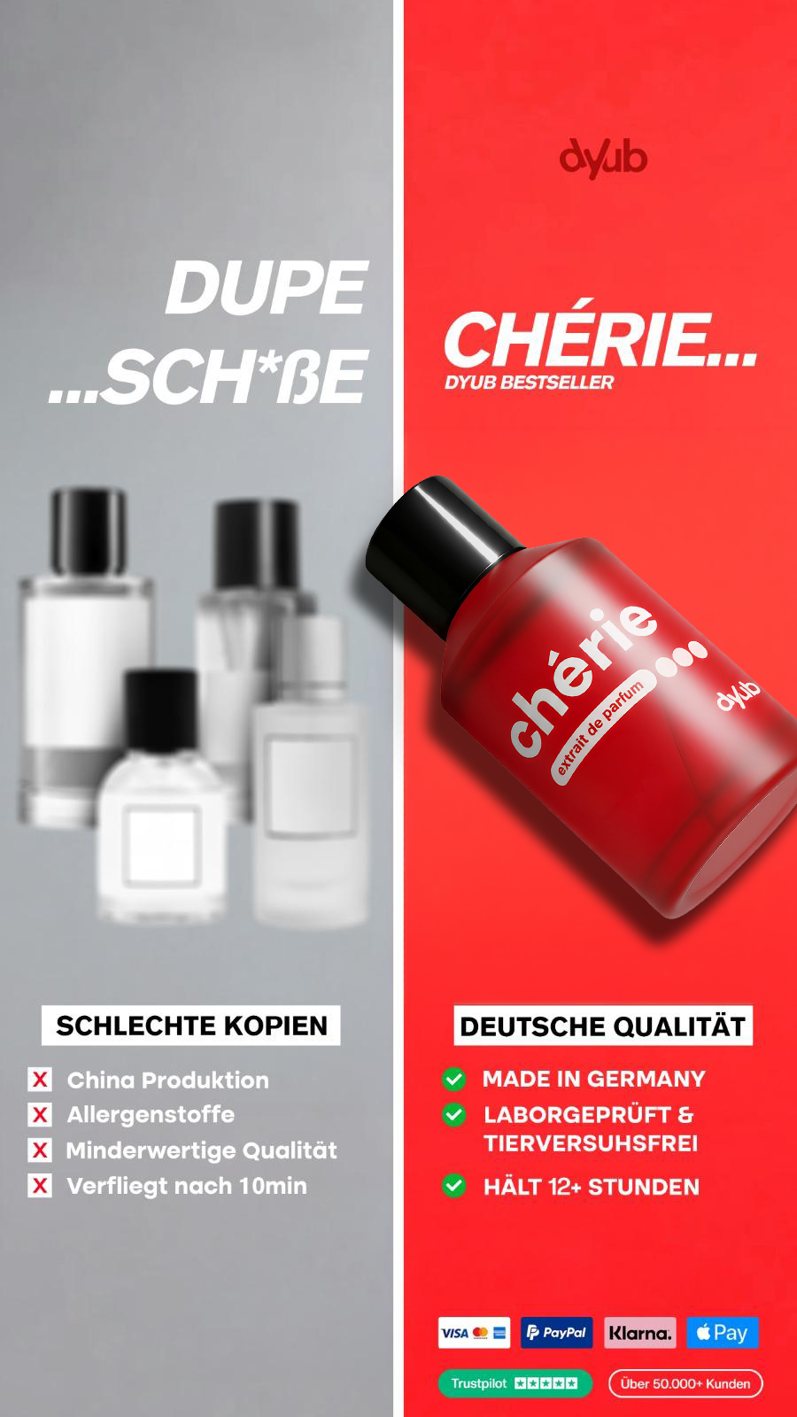 cherie-dyub-posting5
