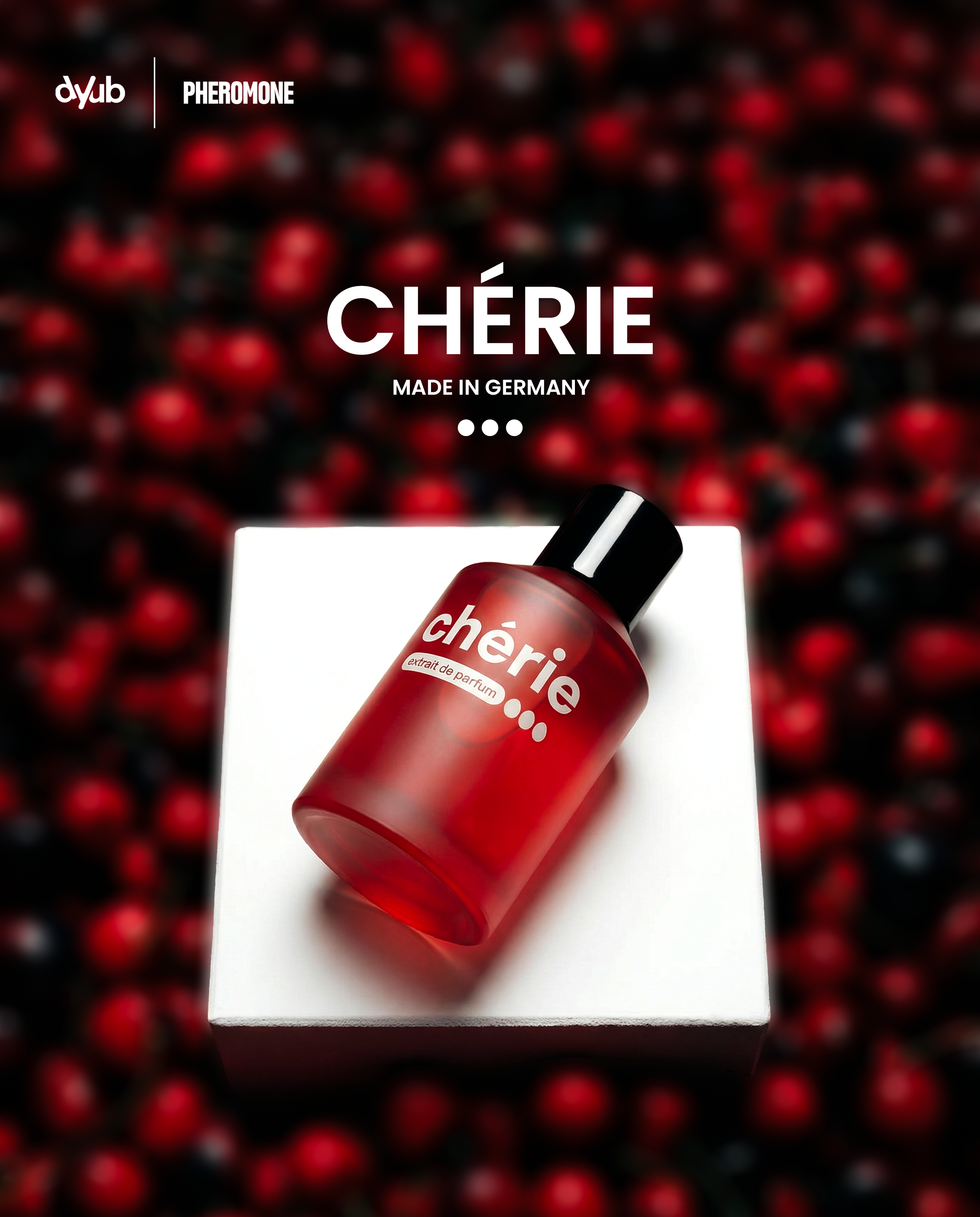cherie-dyub-posting6