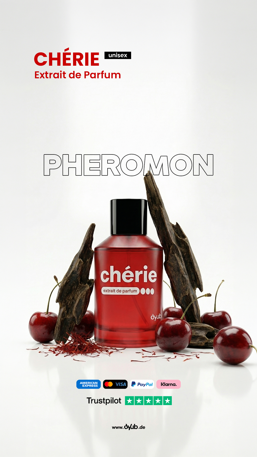 cherie-dyub-posting7