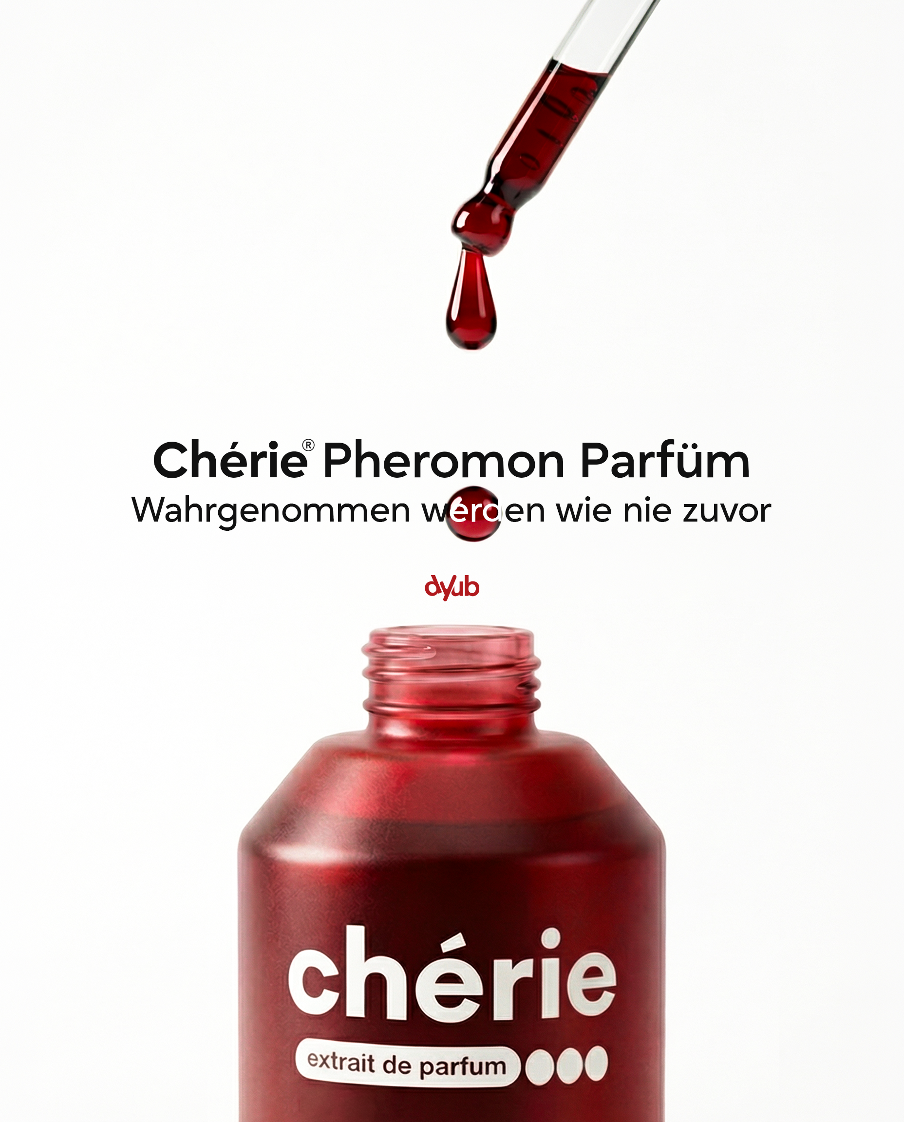 cherie-dyub-posting8