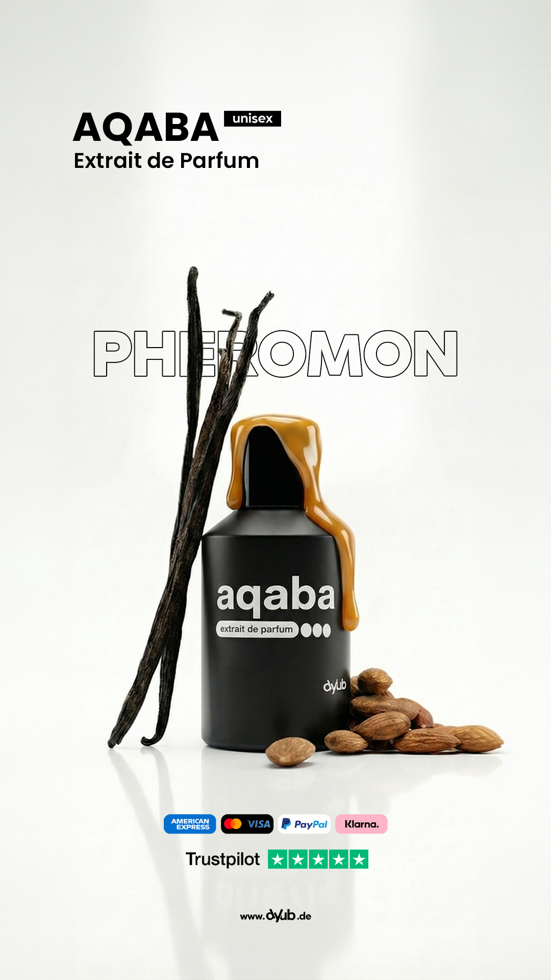 aqaba-dyub-posting4