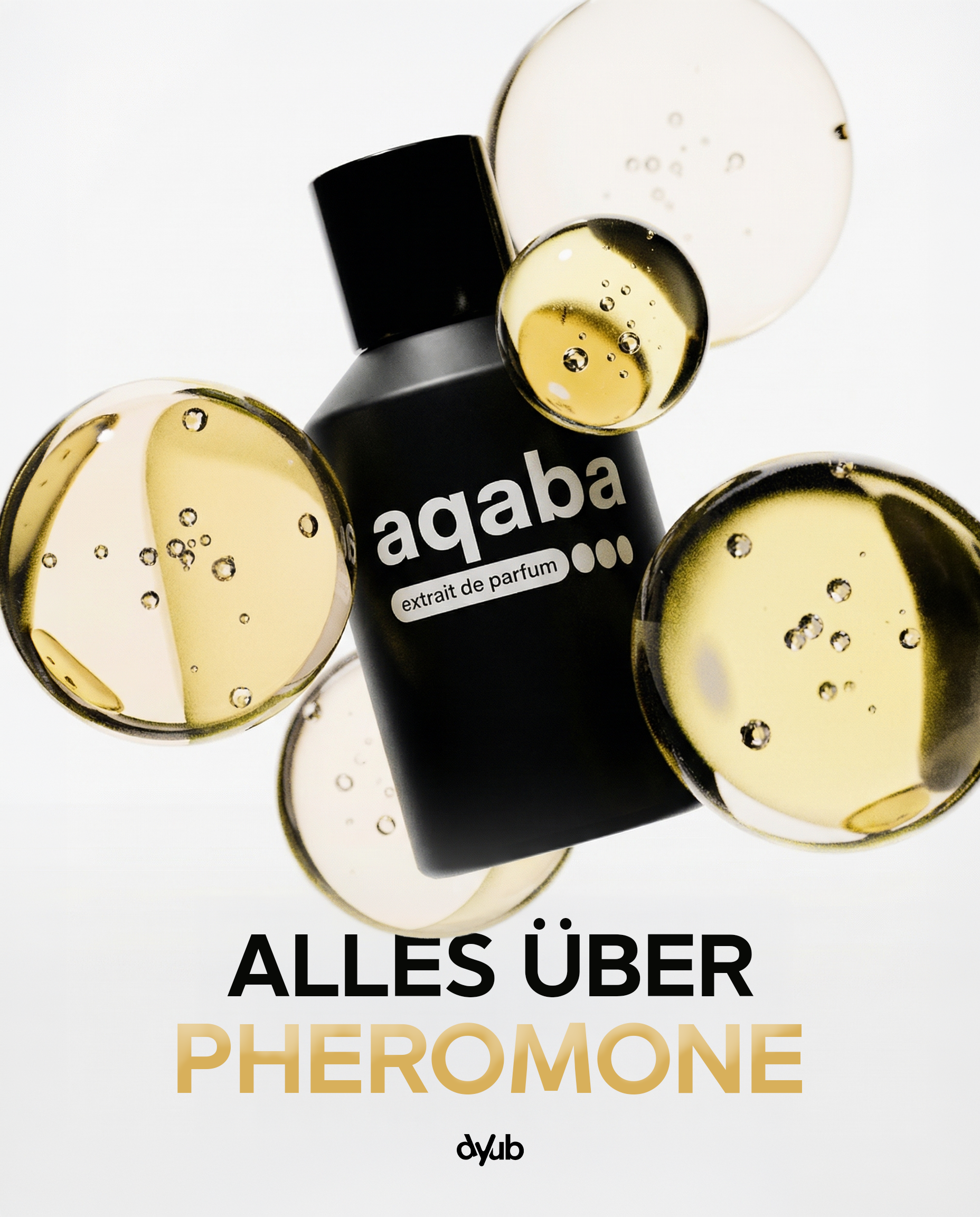 aqaba-dyub-posting7